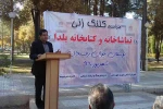 رفسنجان صاحب تماشاخانه می شود 2