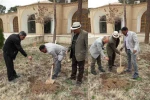 کاشت ۵ اصله نهال میوه به نشانه اجرای  ۵ اثر نمایشی 3