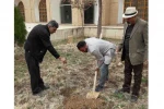 کاشت ۵ اصله نهال میوه به نشانه اجرای  ۵ اثر نمایشی 4