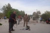 همایش هفته هنر انقلاب، نمایش