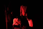 نمایش«فیل»