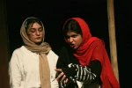 «مرگ پروانه ها»